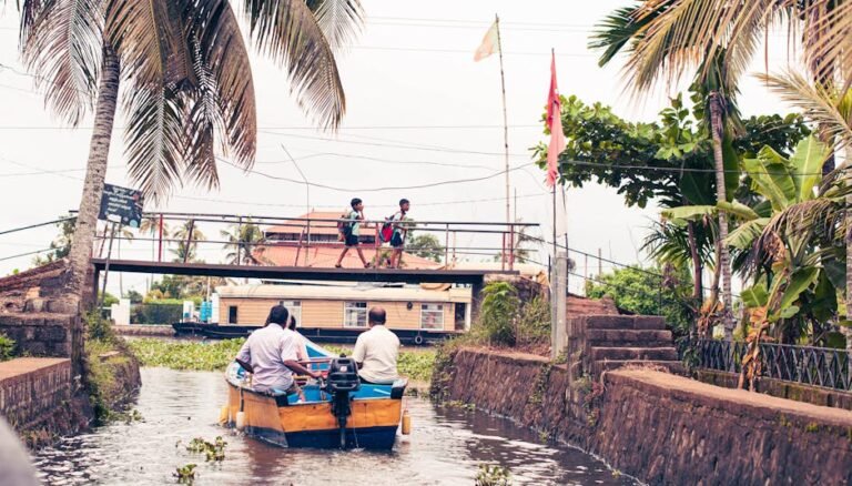 What are the pros and cons of each school type