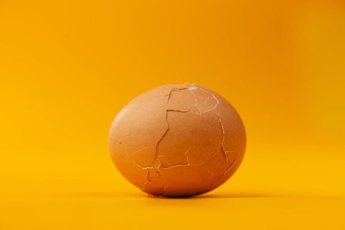 What are some affordable and healthy breakfast options for students