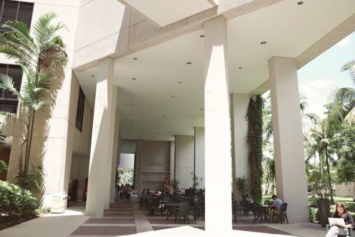 What is the Common Application and how do I use it to apply to Harvard?