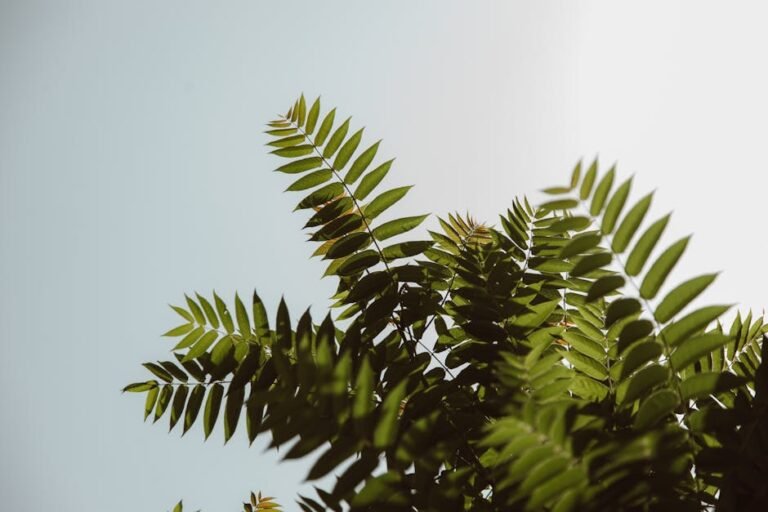 What is the ideal sleep environment for students?