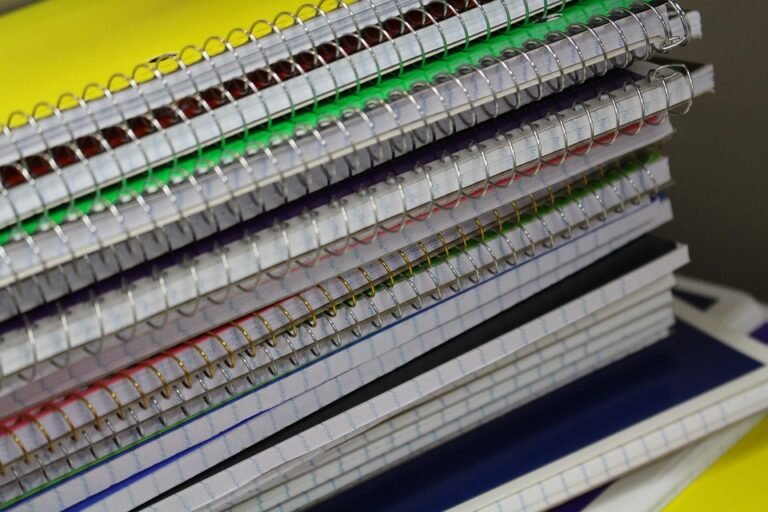 Does Montessori education focus on academics or social emotional development?