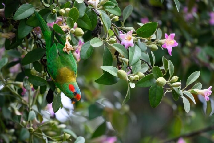 Does Elon Musk Have a Degree in Economics?