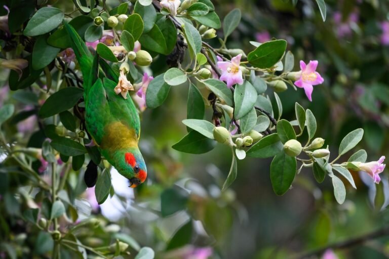 Does Elon Musk Have a Degree in Economics?