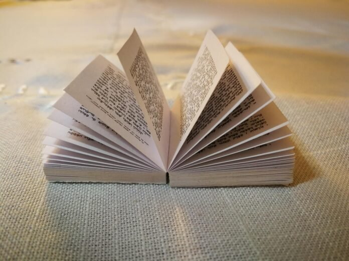 Understanding Gen Z Slang: The Language of a New Generation