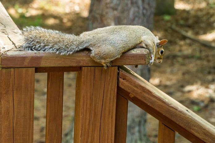 Evaluating Online Education in Texas: A Comprehensive Guide