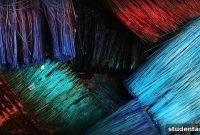 Cultivating Creativity Across Every Discipline