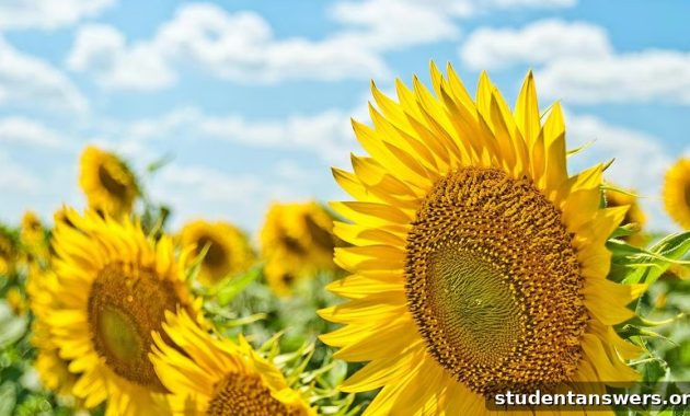 Redefining Summer Success Without an Internship 1 featured 1523