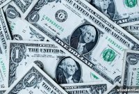 The Broke Students Playbook 100 Plus Ways to Earn in College