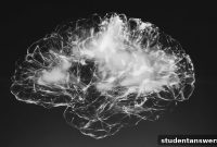 Finding Clarity Your Guide to Understanding and Beating Brain Fog