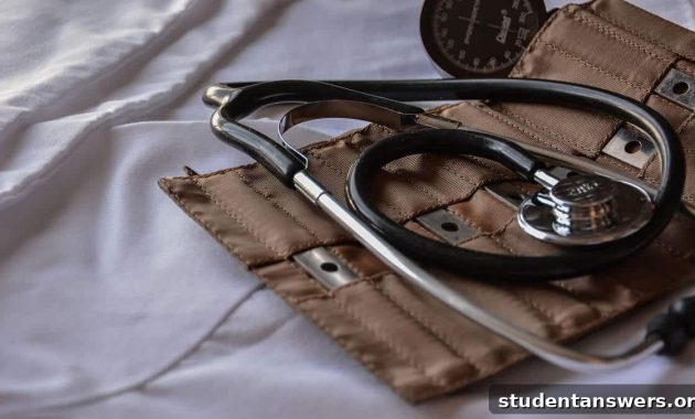 Elevating Your Medical School Application 1 featured 19960