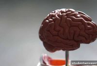 Reboot Your Brain for the Digital Age