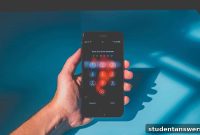 Top 5 Password Managers for Protecting Your Digital Identity