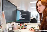 The Professionals Blueprint to a Software Career
