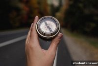 12 Proven Strategies for Professional Advancement