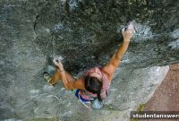 When to Persevere and When to Pivot