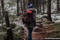 Your Guide to Thriving Through Winter