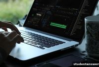 Your Roadmap to a Professional Video Editing Career