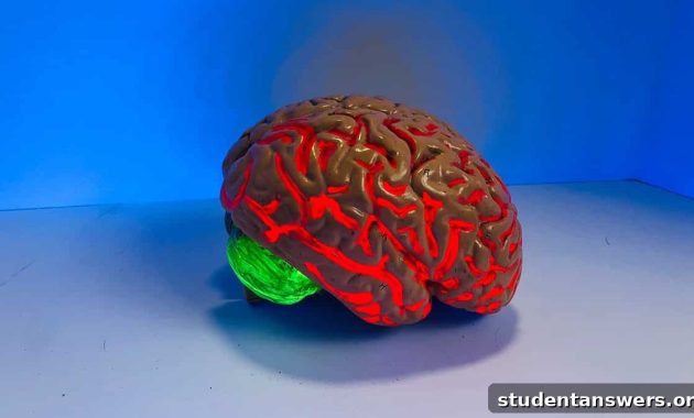 Mastering College with a Second Brain Approach 1 featured 22139