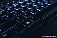 Unlock Peak Windows Productivity with These 10 Free Apps