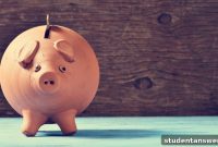 Decoding Student Living Expenses for 2017
