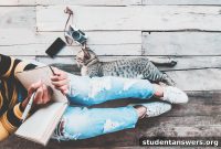 Study Buddy or Academic Burden