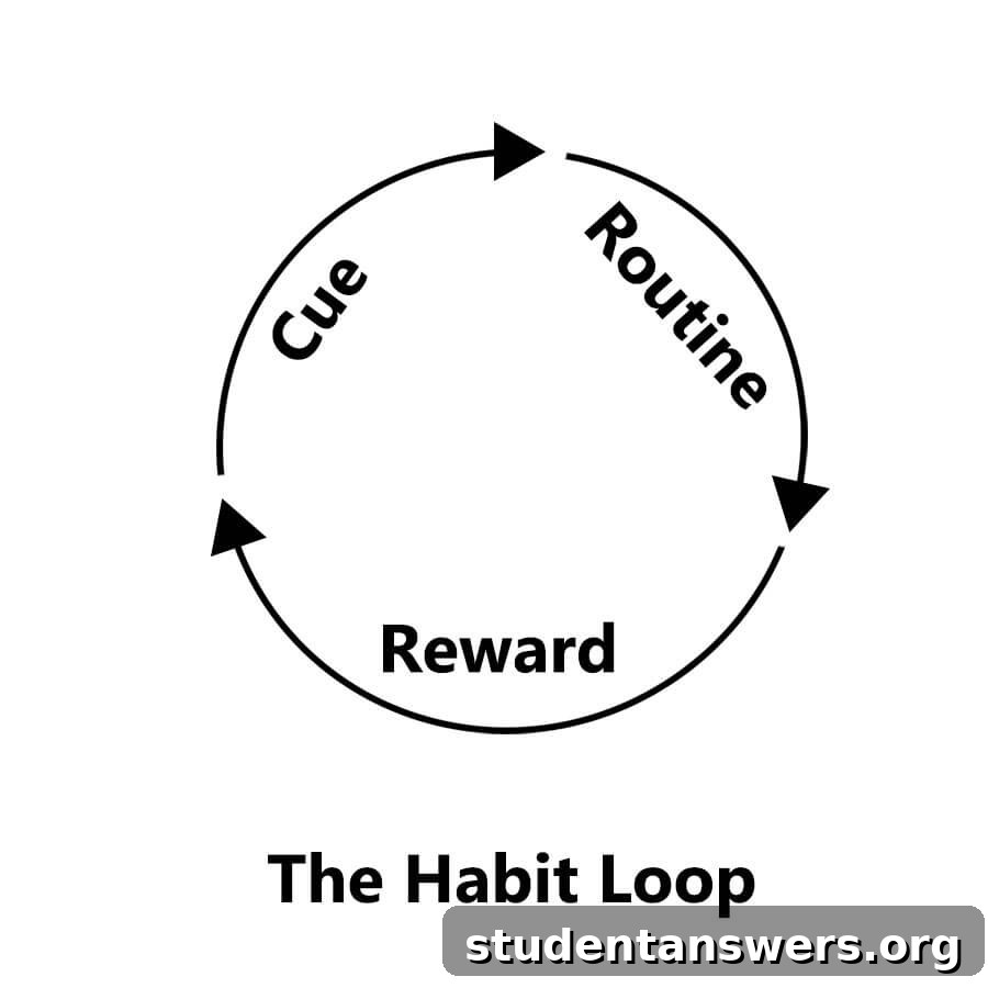 A diagram of the Habit Loop: Cue, Routine, Reward.