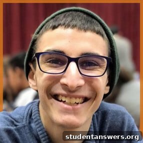 Mayer Adelberg, the high school creator of the web series Synesthesia