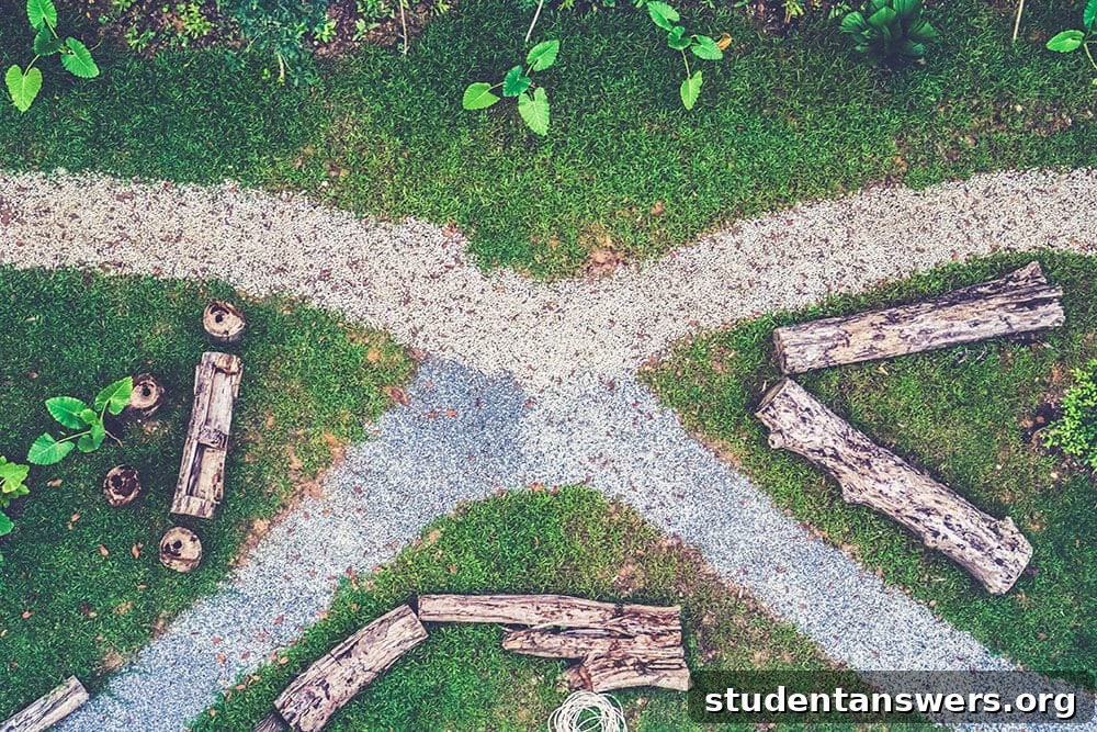 A person standing at a crossroads, symbolizing the choices in skill development