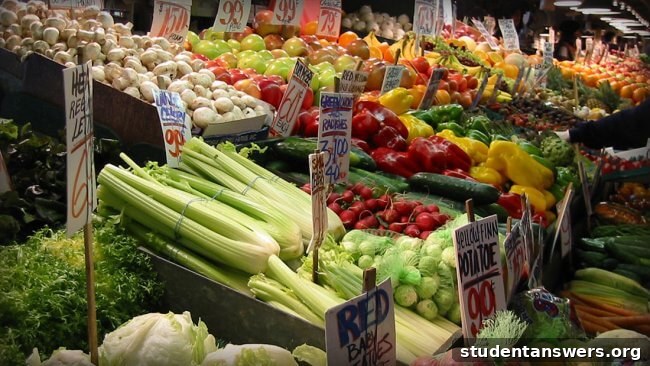 A variety of fresh fruits and vegetables rich in water content