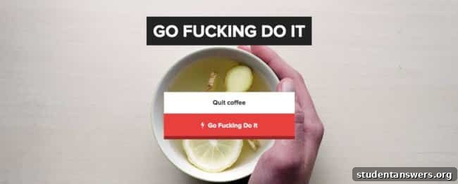 Screenshot of the Go Fucking Do It website, which uses a supervisor to verify goal completion.