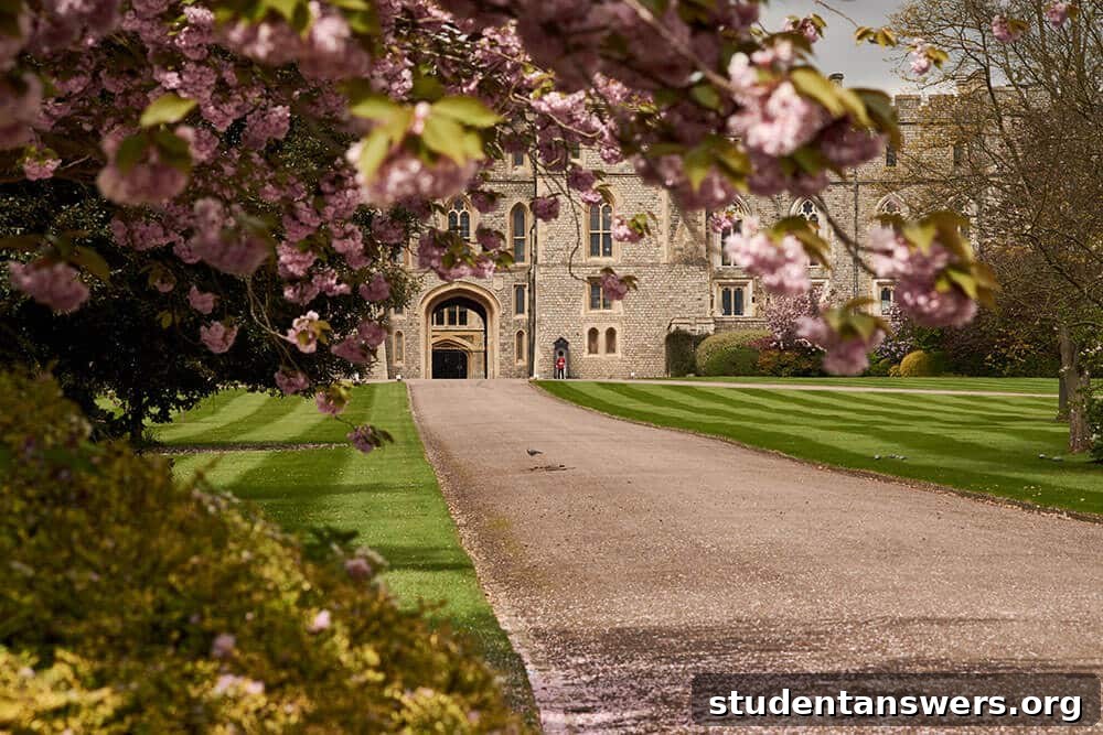 A tree in full bloom on a beautiful college campus