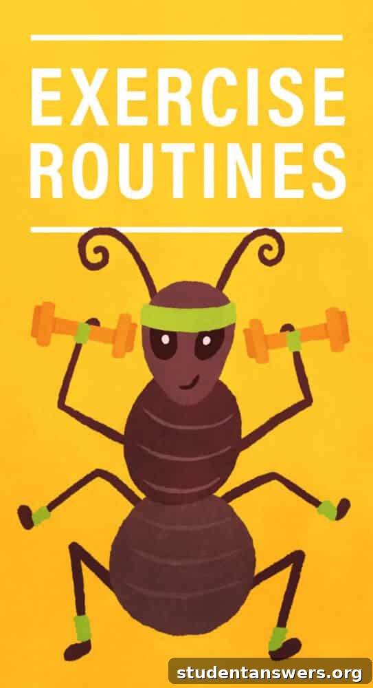 Guide to Building a Sustainable Exercise Routine and Fitness Goals