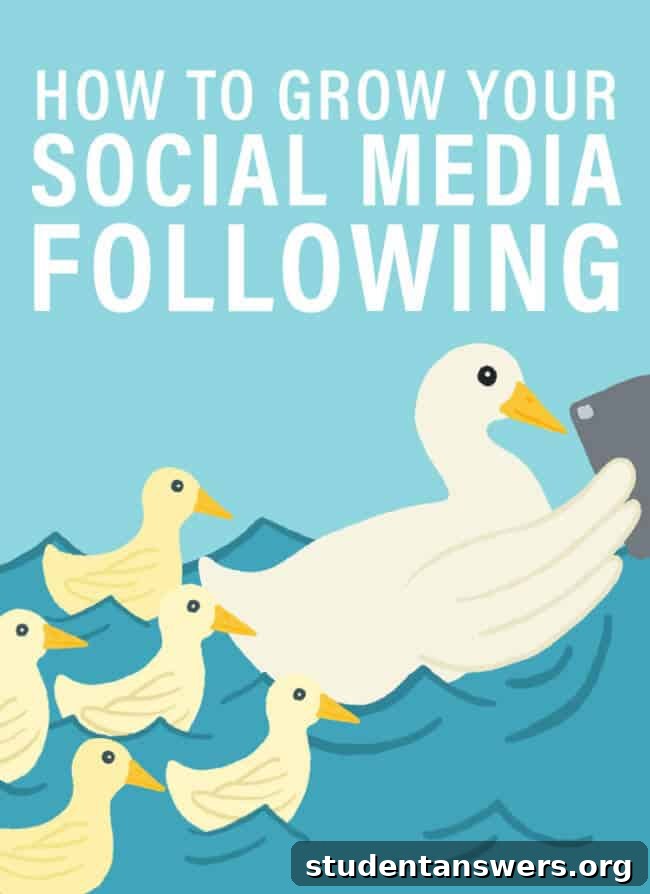 Strategic guide on how to grow your social media following