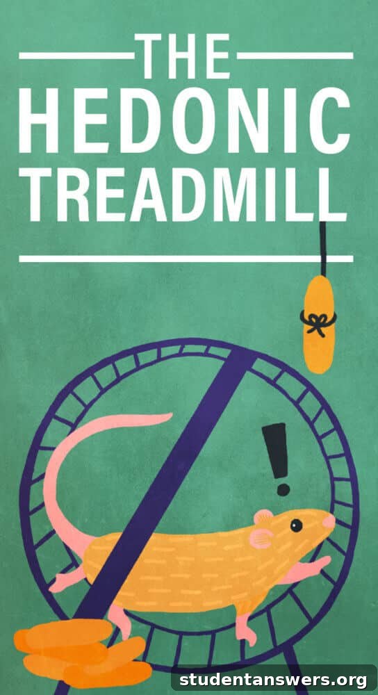 Illustration of the hedonic treadmill concept