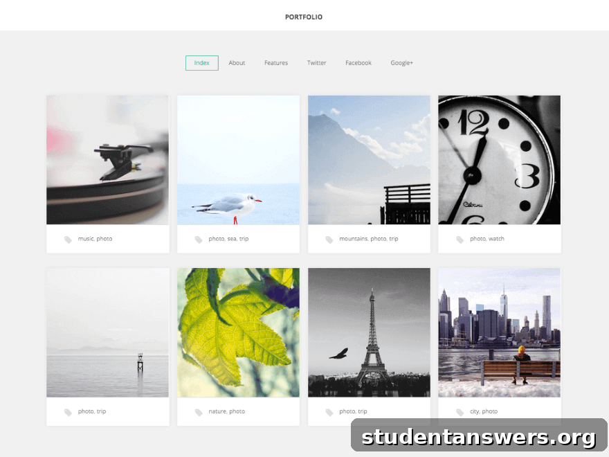 The Portfolio WordPress theme, showcasing a minimalist grid layout for projects.