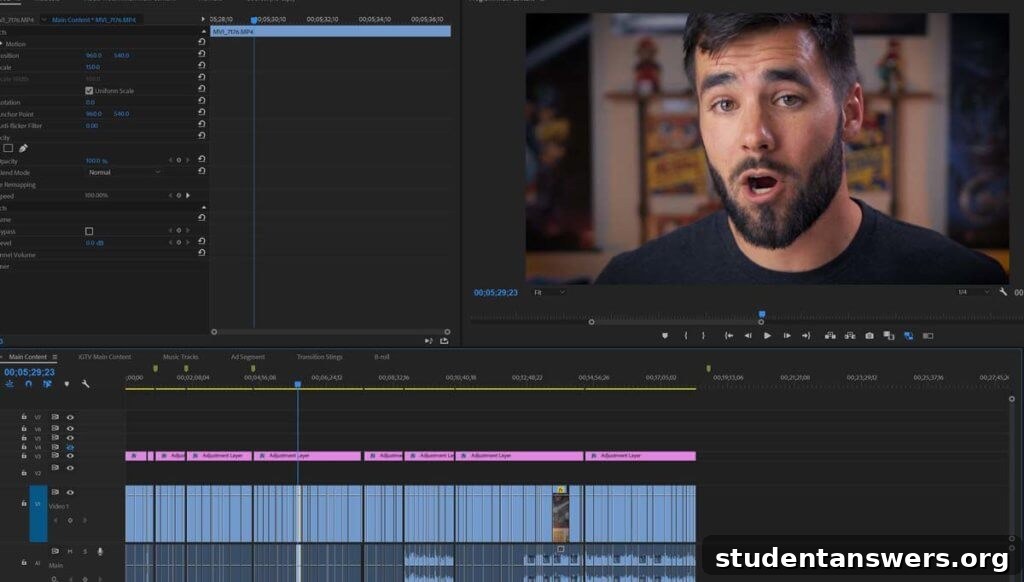 Video editing software interface showing a timeline and preview window.