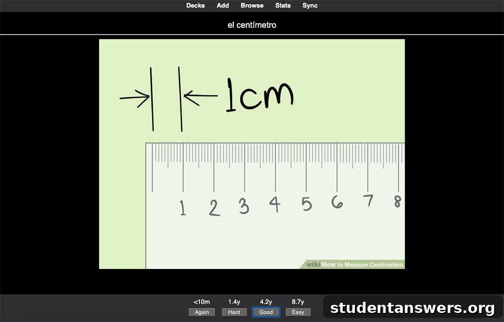 The user interface of the Anki flashcard application