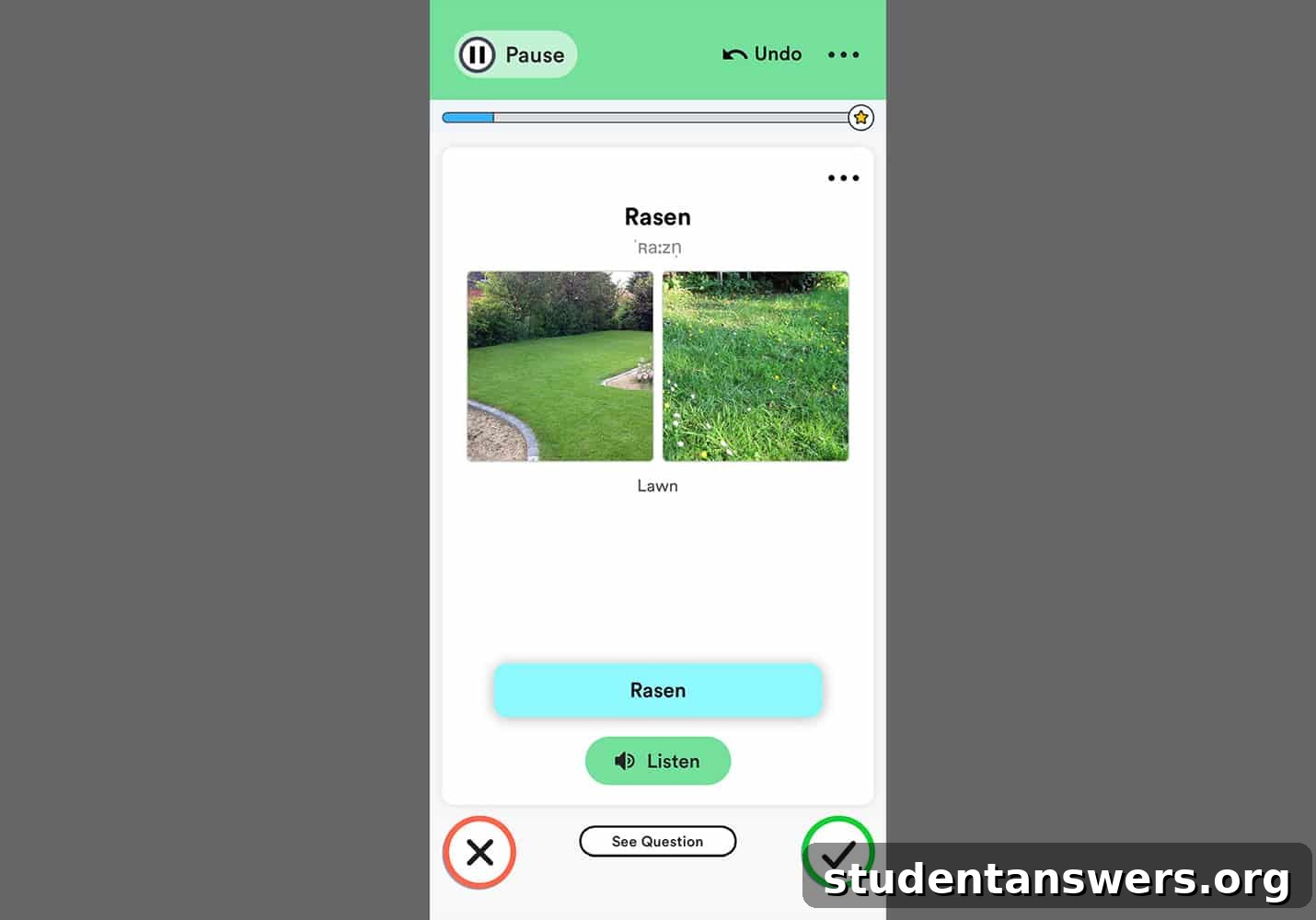 A screenshot of the Fluent Forever app's learning interface