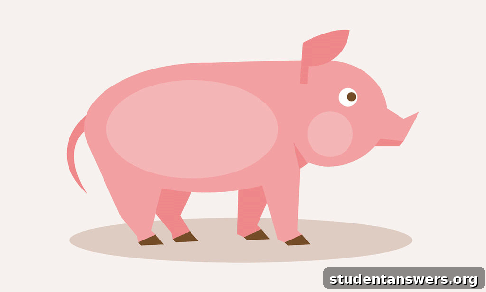 A pig on a farm, representing its role in American history
