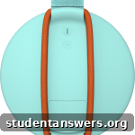 Back view of the UE ROLL speaker showing the integrated marine-grade bungee cord