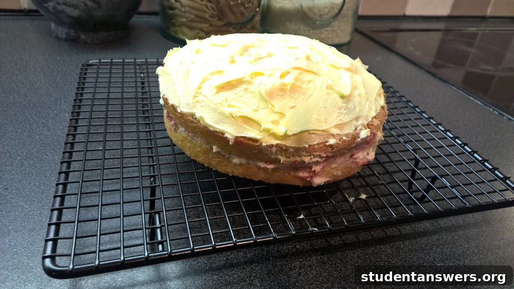 A freshly baked Victoria sponge cake cooling on the Aldi wire cooling rack.