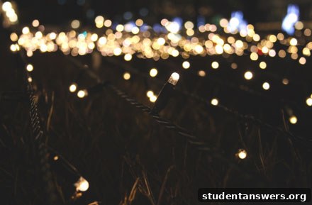 Warm yellow solar-powered fairy lights strung up in a garden at night, creating a magical ambiance.