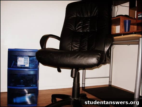 A leather office chair and plastic storage drawers bought for cheap.