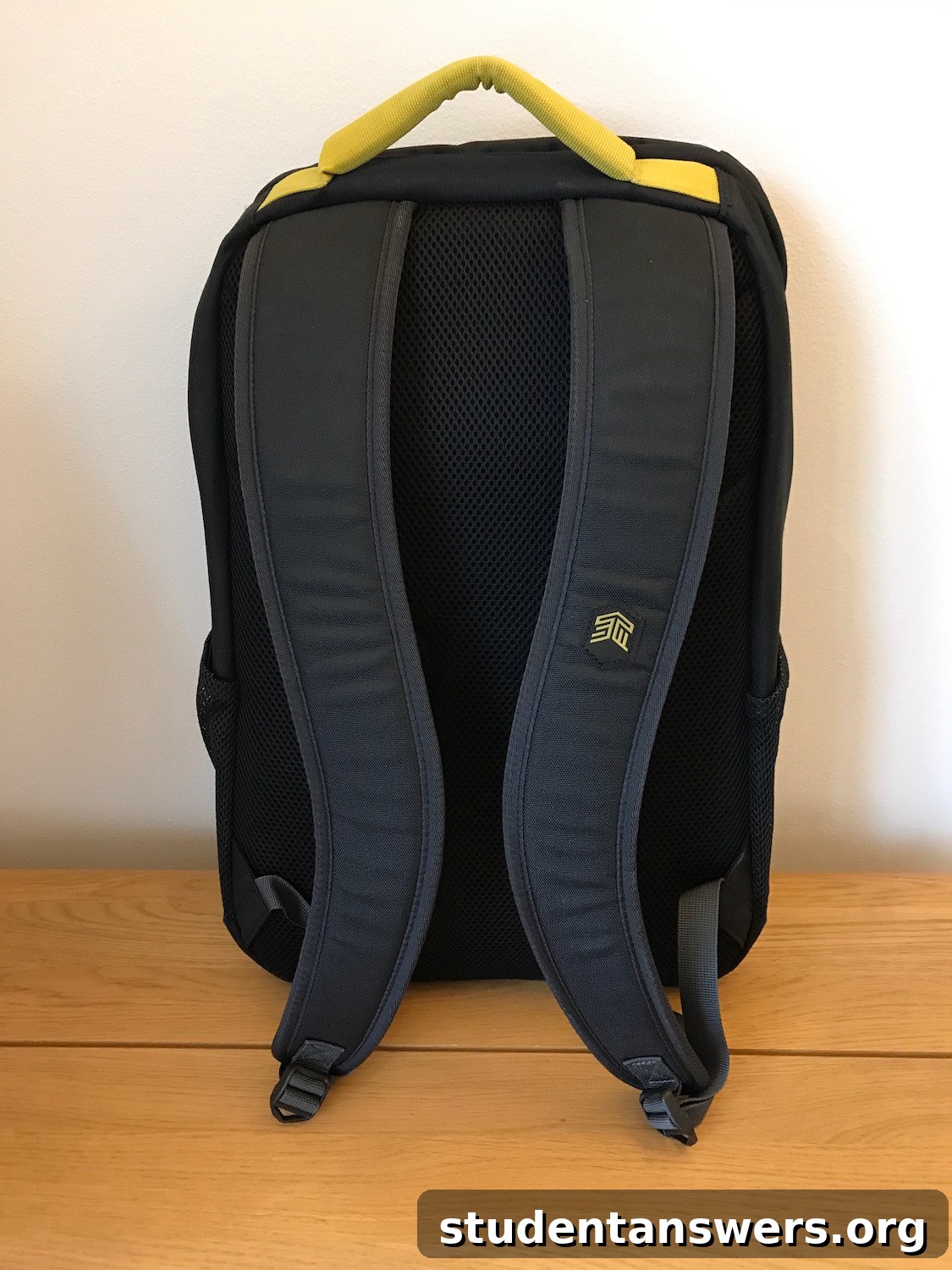 Rear view of the STM Saga backpack highlighting the padded straps and mesh back panel